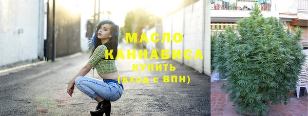 дмт Козловка