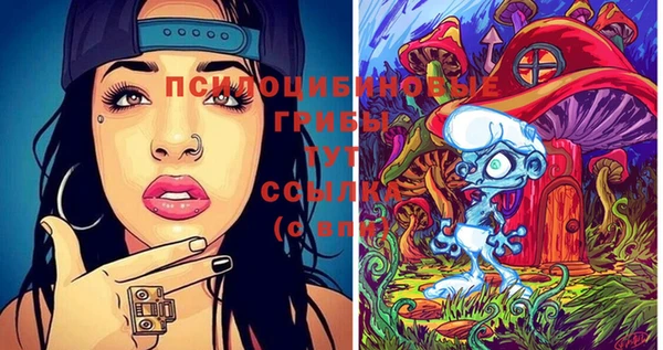 метадон Козельск