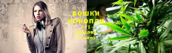 дмт Козловка