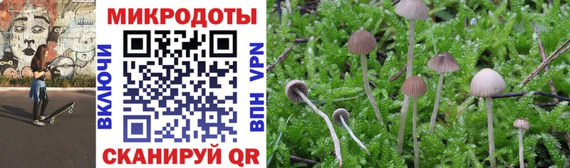 Купить  Новокубанск  Галлюциногенные грибы GOLDEN TEACHER 